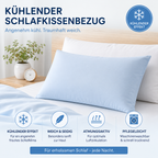 ICE Kissenbezug